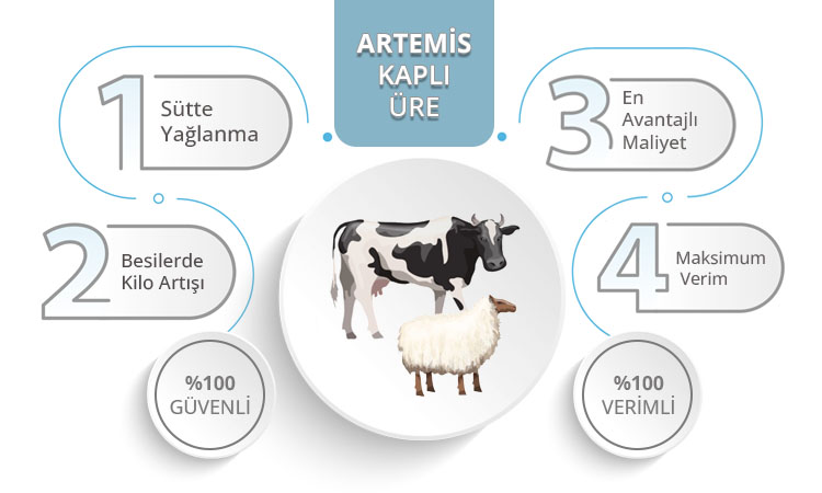 İnfo Grafik 2 Artemisyem